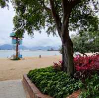 圍封多時，休養生息後的公園及海灘