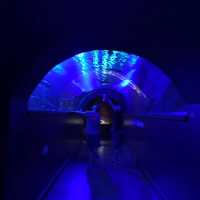 Seville aquarium 