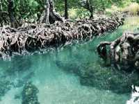 Pa Phru Tha Pom Khlong Song Nam ท่าปอมคลองสองน้ำ 