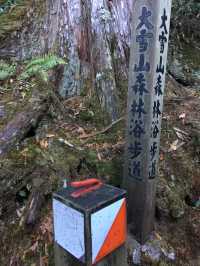 大雪山步道慢活！？