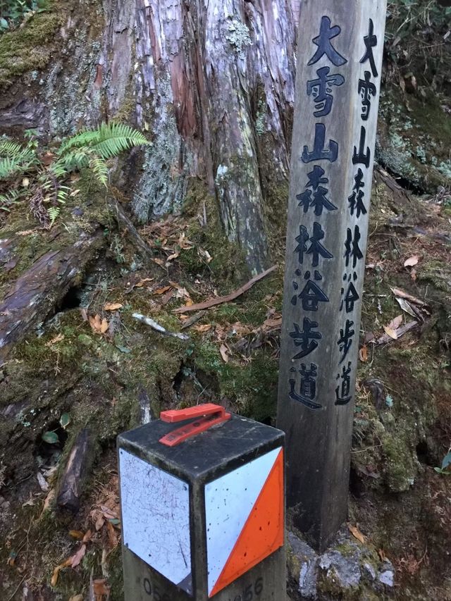 大雪山步道慢活！？