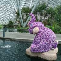 On The Next Level: Jewel Changi Airport 