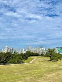 서울 올림픽공원의 메인 나홀로나무🌳 