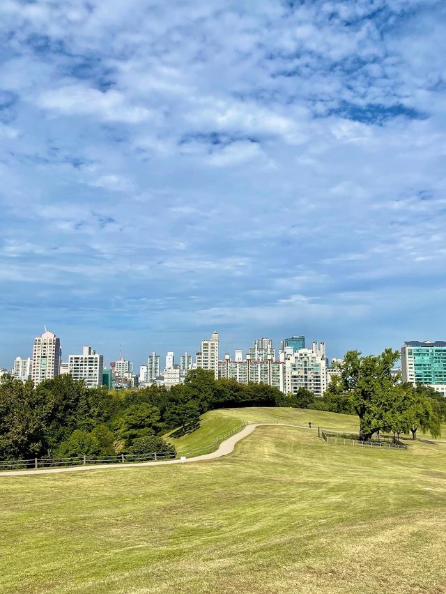 서울 올림픽공원의 메인 나홀로나무🌳 