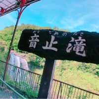【白糸の滝・音止の滝】静岡県/富士宮市