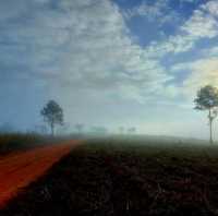 ทุ่งแสลงหลวง หนองแม่นา