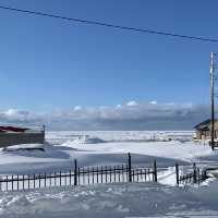 Witness the Iditarod dog sled race in Nome