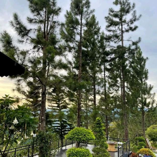 mountain breeze.... ahhhhh