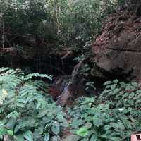 気軽に自然を感じられるパワースポット　ペナン植物園