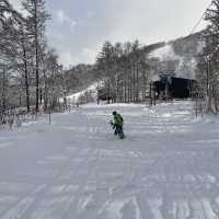 Niseko - The snowiest place on Earth!