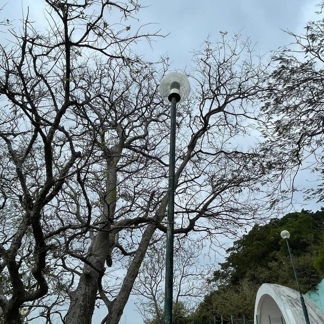 港島最南舂坎角💕觀景台細看南港島美景