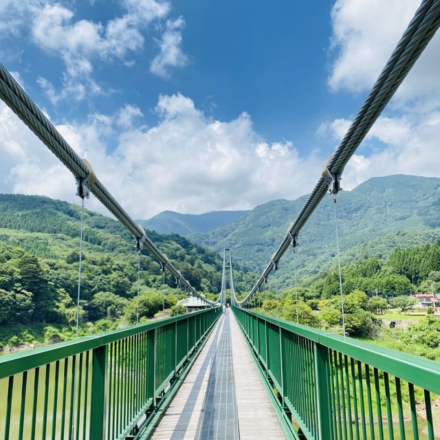 栃木県 圧巻のもみじ谷大吊橋