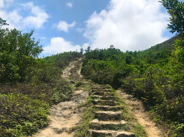 麥理浩徑第三段｜絕美行山路線
