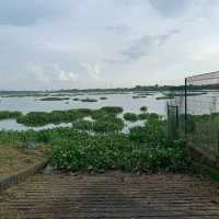 Kranji Reservoir Park 