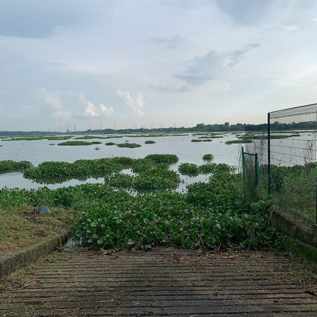 Kranji Reservoir Park 