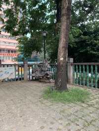中國式設計的花園