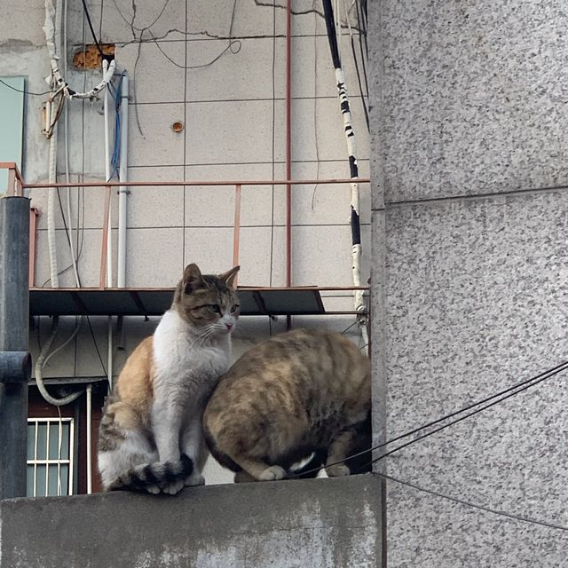 ❤️ 혜화동 데이트 코스 추천 ❤️