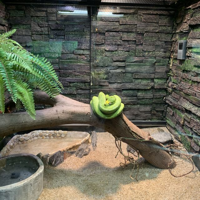 屯門公園隱秘高質爬蟲館 屯門公園隱秘高質爬蟲館