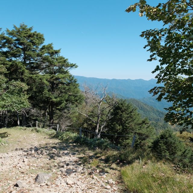 大菩薩峠
