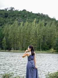 🌿 ลิวงค์ สวิตเซอแลนด์แดนจะนะ