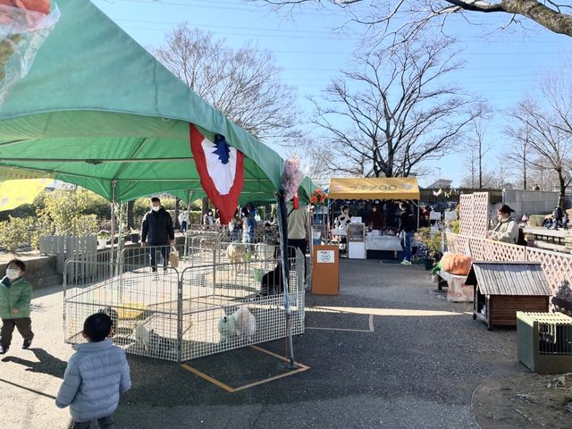 岐阜県🐏🐔💓【移動動物園　プチZOO】