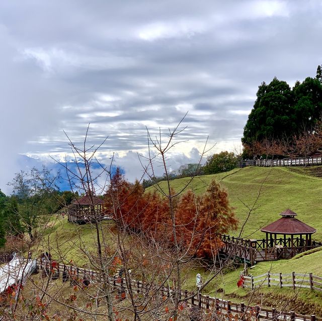 【台灣南投 清境農場】 一生必去｜高山之旅