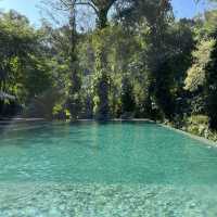 รีสอร์ทท่ามกลางสวนสวย