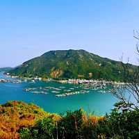 南丫島