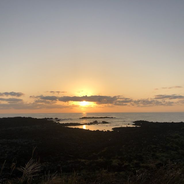 제주도 - 우도 여행 