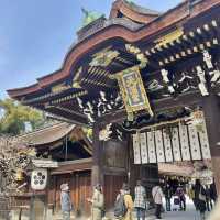 北野天満宮　梅