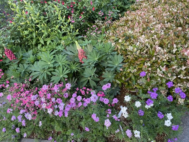お花好きにはたまらない！横浜フラワー散歩！