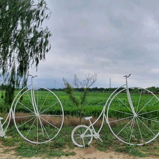 충남 당진 합덕제 수변공원