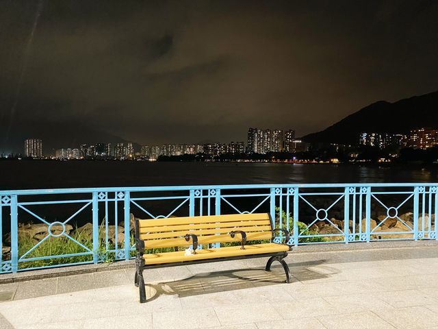 夜遊海豚廣場