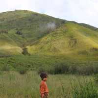 Majectic Bromo