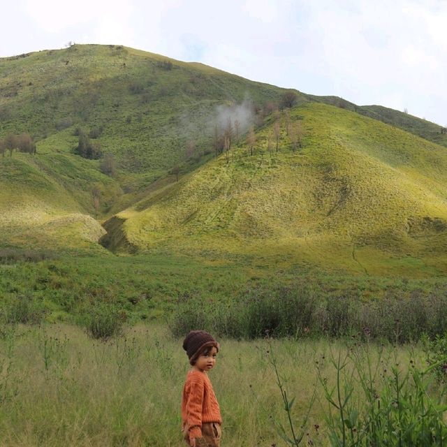 Majectic Bromo