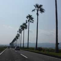 【宮崎県】7体のモアイが放つパワーを日南で感じる！