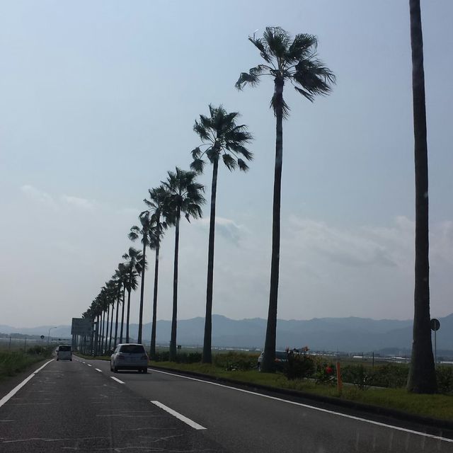 【宮崎県】7体のモアイが放つパワーを日南で感じる！