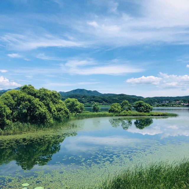 이국적인 느낌의 공원 ‘남양주 물의 정원’ 🌳💙