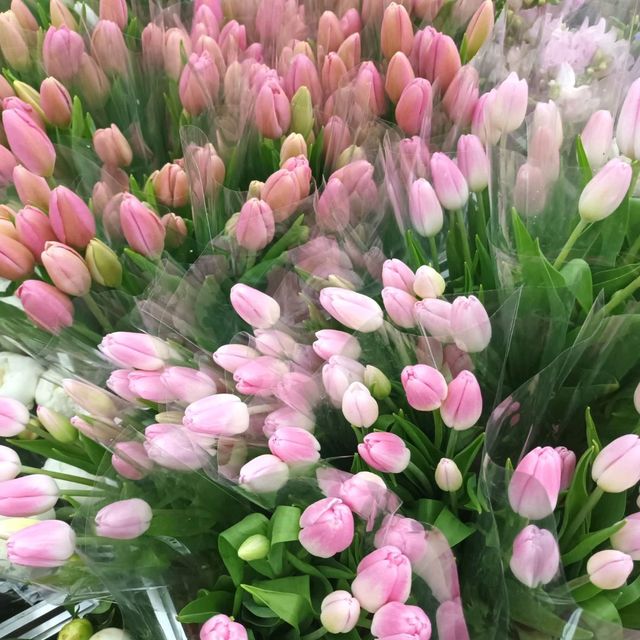 Floral Café at Napasorn ปากคลองตลาด 🍷🤍✨️