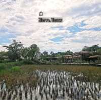 บรรยากาศชิลกับวิวทุ่งนา@Montreux café and farm