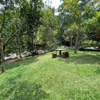 Day Trip - Back to Nature Cafe
