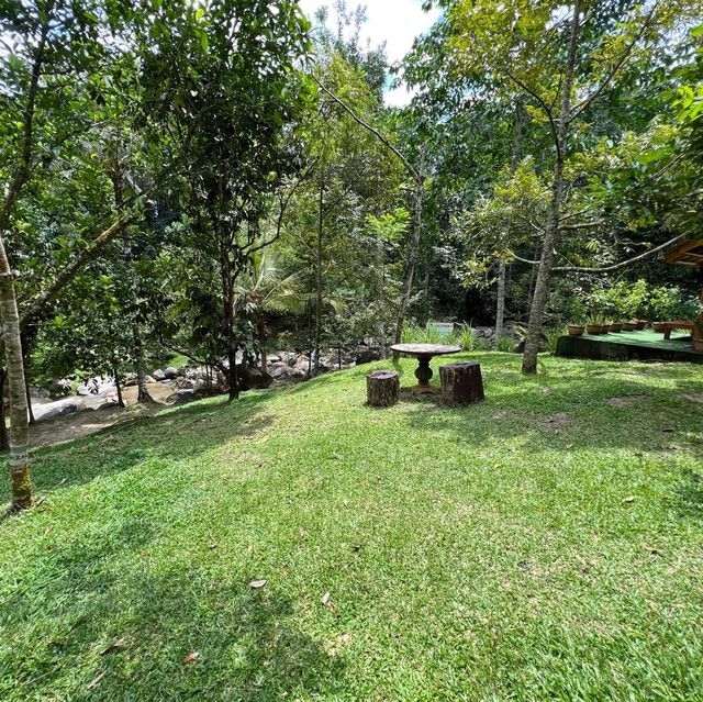 Day Trip - Back to Nature Cafe