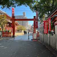 歷史悠久 大須觀音寺