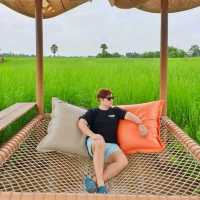 " หุ่น | ไร่ | กา  ท้องนาบ้านย่า " 