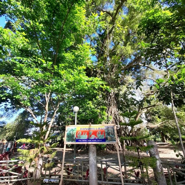 BALER, AURORA