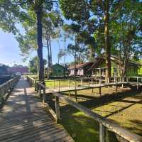 Stay near to forest, Eat near to River