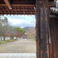 京都紅葉2022  醍醐寺の紅葉に感動