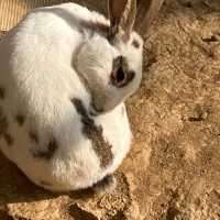 草泥馬樂園Alpaca World!!