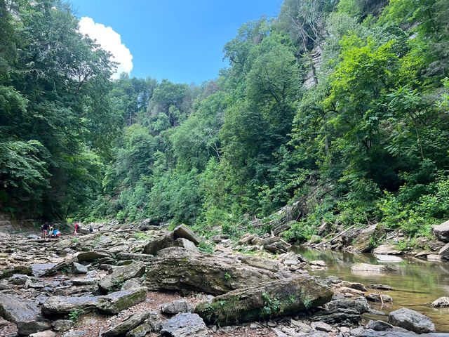 Cumin Falls State Park - Tennessee 