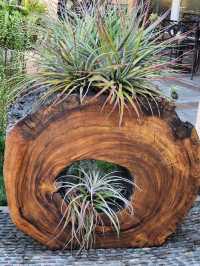 Bok Tower Gardens, Florida's hidden paradise